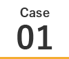 CASE01