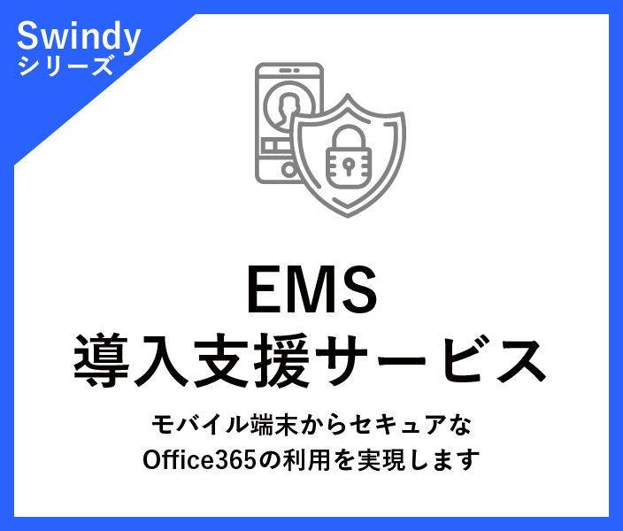 EMS 導入支援サービス